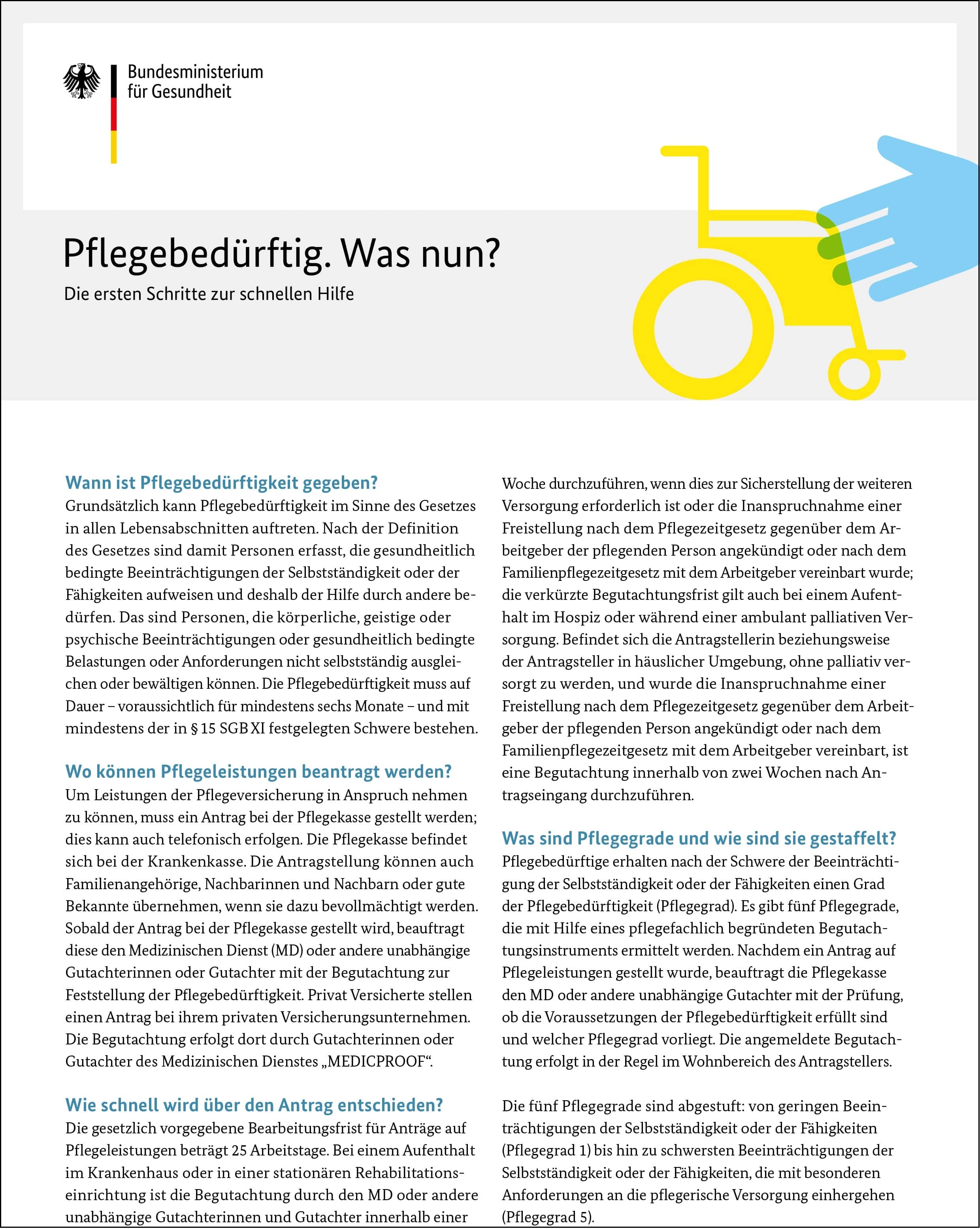 Coverbild Flyer: "Pflegebedürftig. Was nun?" Coverbild Flyer: "Pflegebedürftig. Was nun?"