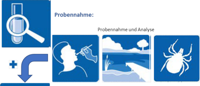 Flussschema: Durchführung und Ziele des Projektes