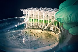 Foto: eine Petrischale mit dunklen Tröpfchen vor dunklem Hintergrund, aus der eine Hand mit grünem Handschuh mit einer Pipette Flüssigkeit abnimmt; daneben stehen Flüssigkeitsproben in Behältern