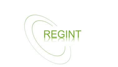 Logo des Projetverbundes REGINT