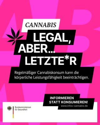 BMG_Cannabis_letzter