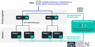 Zusammenführung von Krebsregisterdaten und multimodalen, melderbasierten Diagnostikdaten zur KI-basierten Biomarker-Detektion (CanConnect)