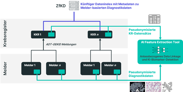 Zusammenführung von Krebsregisterdaten und multimodalen, melderbasierten Diagnostikdaten zur KI-basierten Biomarker-Detektion (CanConnect)