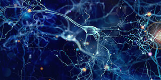 Nervenzelle - KI-basierte Diagnoseunterstützung bei Seltenen Erkrankungen am Beispiel der Seltenen Erkrankung Leukodystrophie 