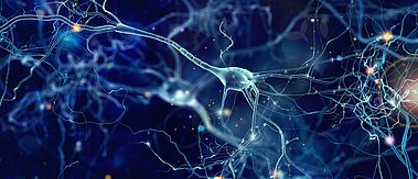 Nervenzelle - KI-basierte Diagnoseunterstützung bei Seltenen Erkrankungen am Beispiel der Seltenen Erkrankung Leukodystrophie 