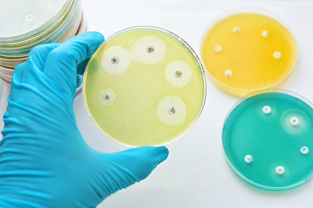 Bakterien besitzen die Fähigkeit gegenüber Antibiotika Resistenzen auszubilden. Ihre Ausbreitung kann mittels geeigneter Werkzeuge überwacht werden.