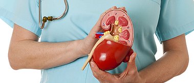 Krankenschwester und menschliche Niere