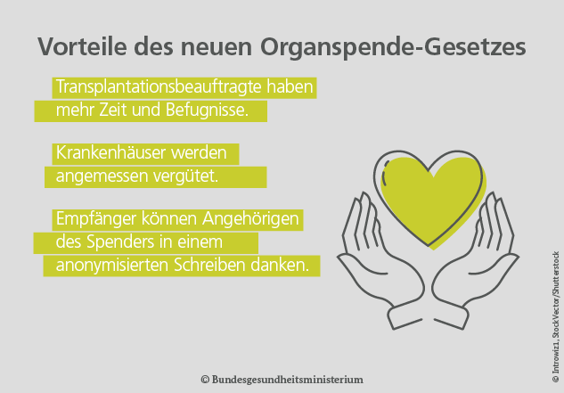 Grafik Organspende-Gesetz, Herz in Händen – Vorteile des neuen Organspende-Gesetzes: Transplantationsbeauftragte haben mehr Zeit und Befugnisse. Krankenhäuser werden angemessen vergütet. Empfänger können Angehörigen des Spenders in einem anonymisierten Schreiben danken.