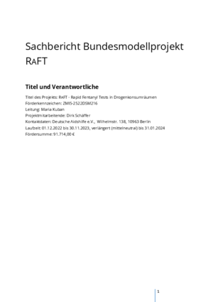 Sachbericht Bundesmodellprojekt RAFT