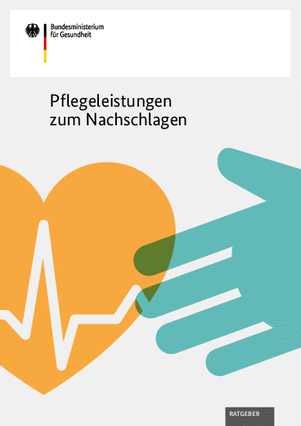 Bmg Publikationen Zur Pflege In Deutschland