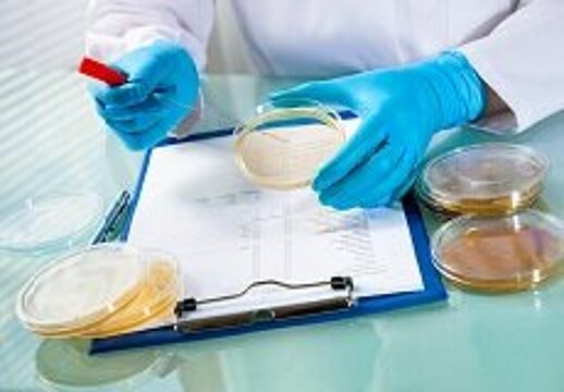 Foto: Zwei Hände in blauen Gummihandschuhen, die mit einer Petrischale und Pipetten hantieren, daneben ein mit Papier bespanntes Klemmbrett