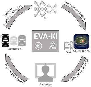 Grafik - Etablierung einer Plattform zur Entwicklung und Validierung von KI-Lösungen in der klinischen Routine 