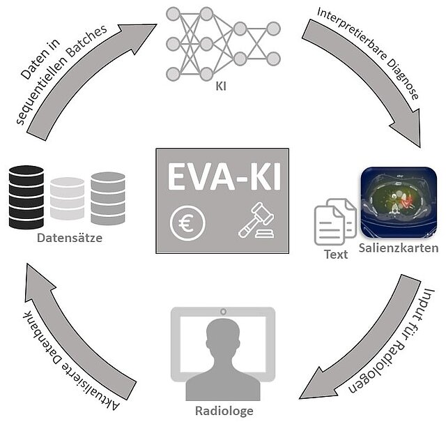 Grafik - Etablierung einer Plattform zur Entwicklung und Validierung von KI-Lösungen in der klinischen Routine 