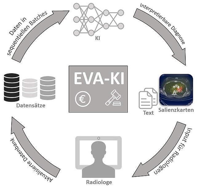 Grafik - Etablierung einer Plattform zur Entwicklung und Validierung von KI-Lösungen in der klinischen Routine