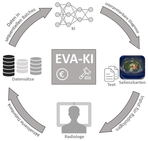 Etablierung einer Plattform zur Entwicklung und Validierung von KI-Lösungen in der klinischen Routine (Bildquelle: BMG) Grafik - Etablierung einer Plattform zur Entwicklung und Validierung von KI-Lösungen in der klinischen Routine