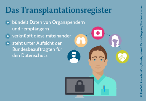 Grafik: Das Transplantationsregister bündelt Daten von Organspendern und -empfängern, verknüpft diese miteinander und steht unter Aufsicht der Bundesbeauftragten für den Datenschutz