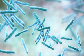 Tuberkulose Bakterien. Computer Illustration von Mycobacterium tuberculosis bacteria